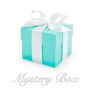 Designer Mystery Box Bags Accessories 10 items NWT
